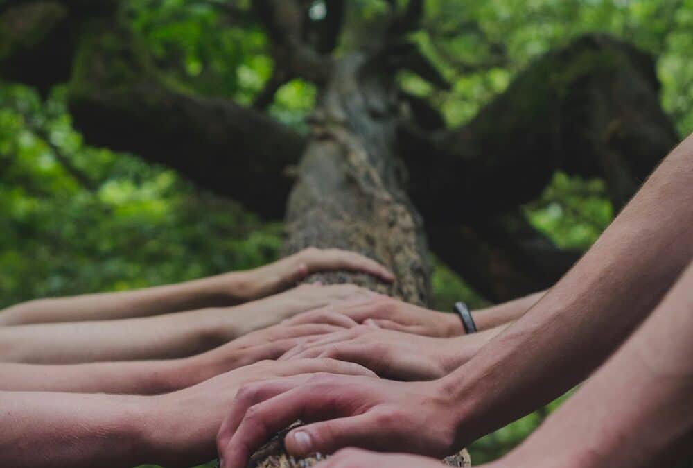 I Patti di Collaborazione come laboratori di democrazia quotidiana – Percorsi di Secondo Welfare